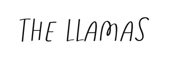 The Llamas - Moda artigianale dall'animo ironico e sostenibile.